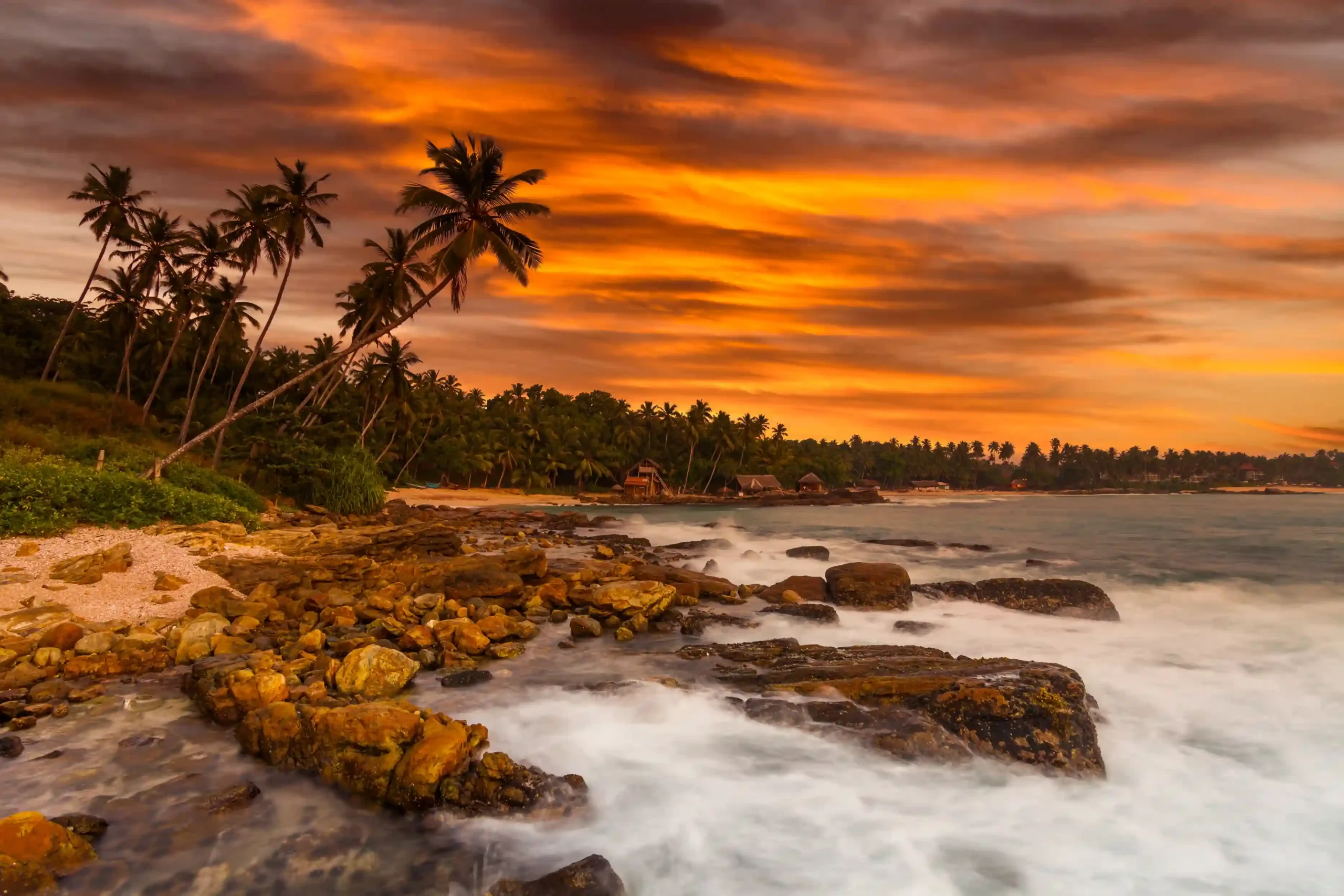 image_693156ae42cdb_1764841134_sunset-on-the-beach-with-coconut-palms-2025-01-08-10-32-45-utc_9_11zon_11zon-scaled