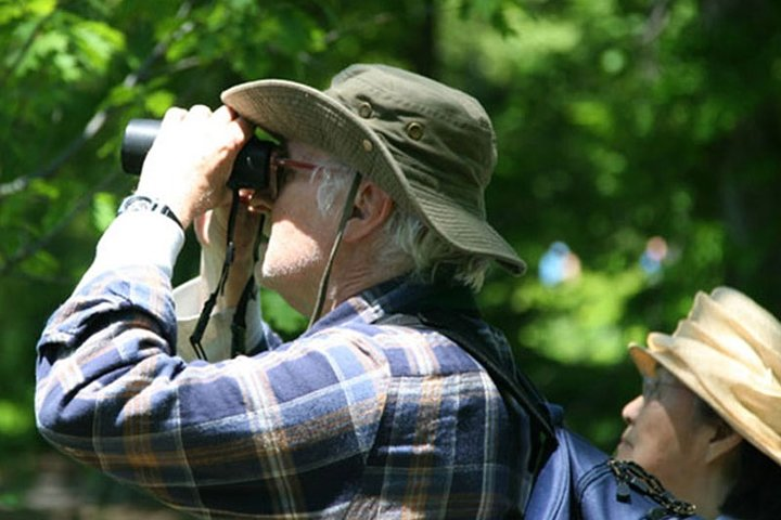 Thalangama Wetland birdwatching