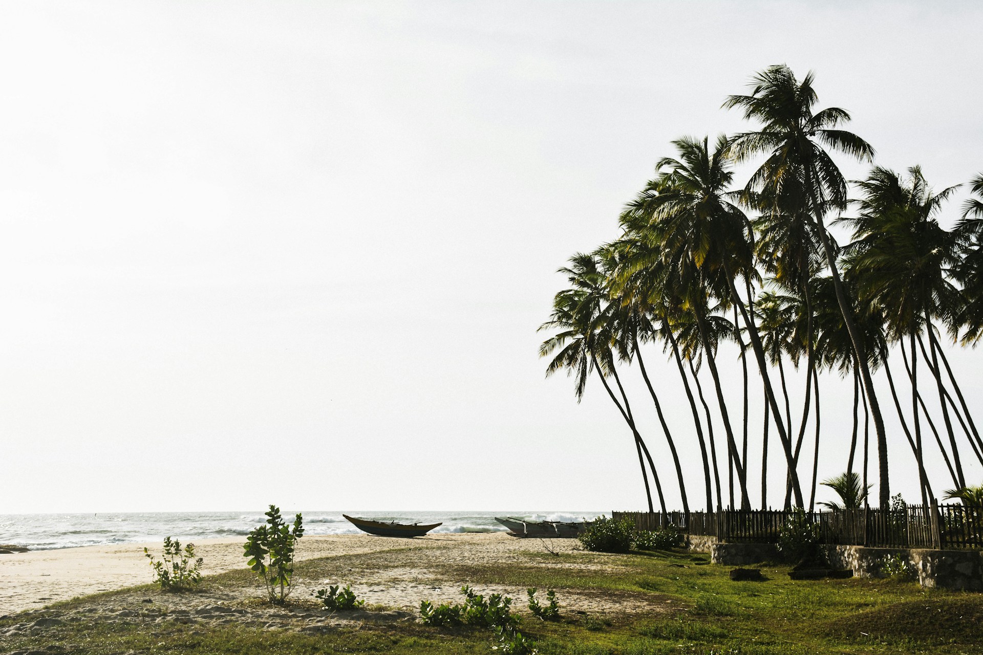 emily-goodhart-Ffe6eAVn6ko-unsplash