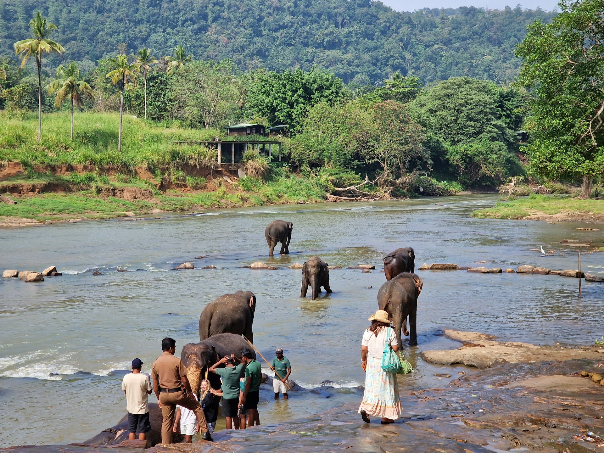 mahesh herath gk Pj8xfQd0 unsplash