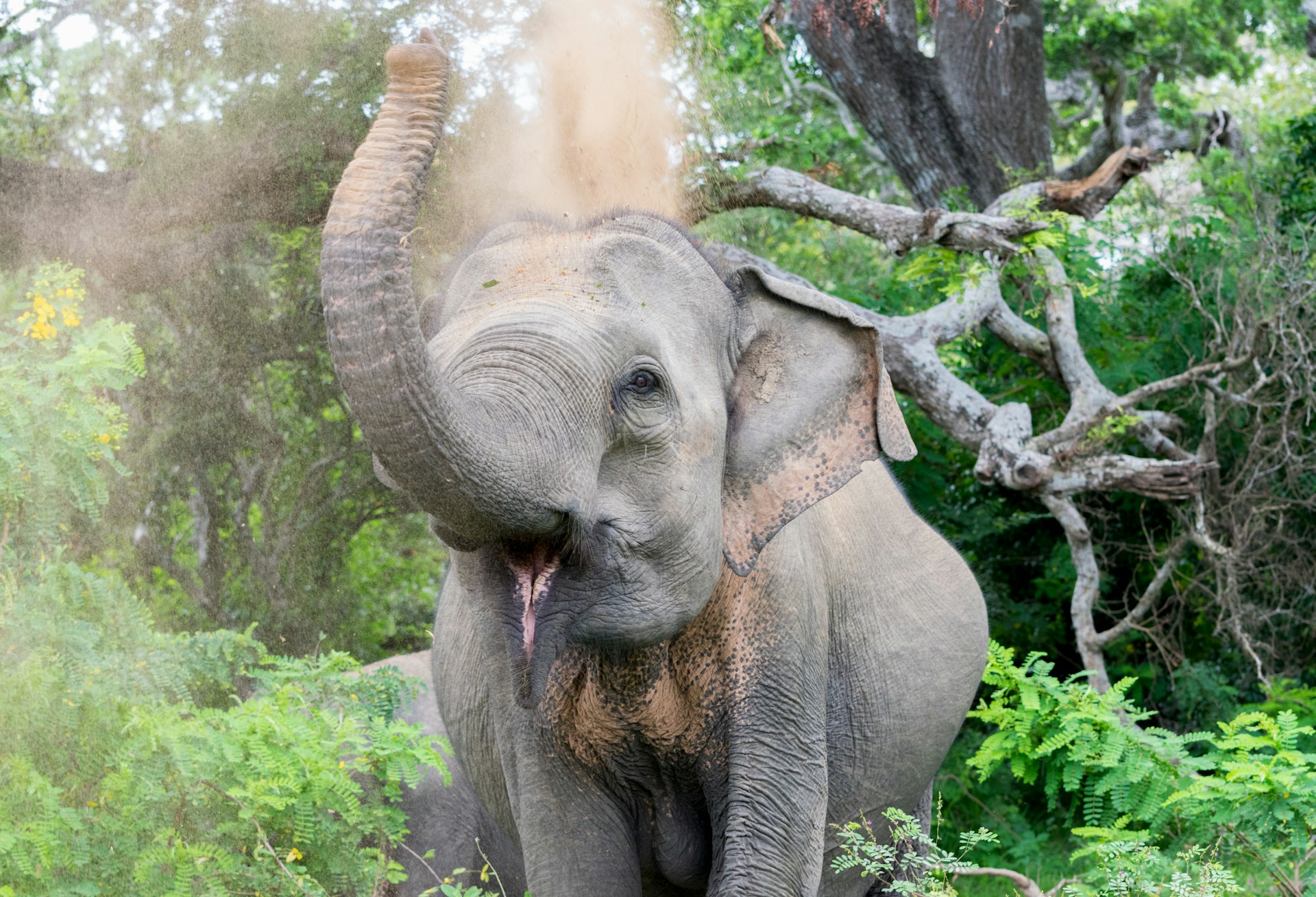mahesh-prabahath-J9H0_zTJerE-unsplash